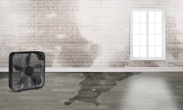 Best 24-hour water damage restoration  in Highland, IN