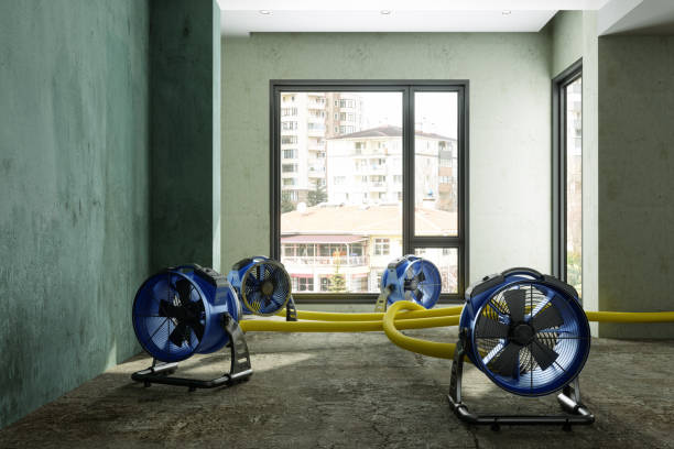 Best Flood restoration services  in Highland, IN